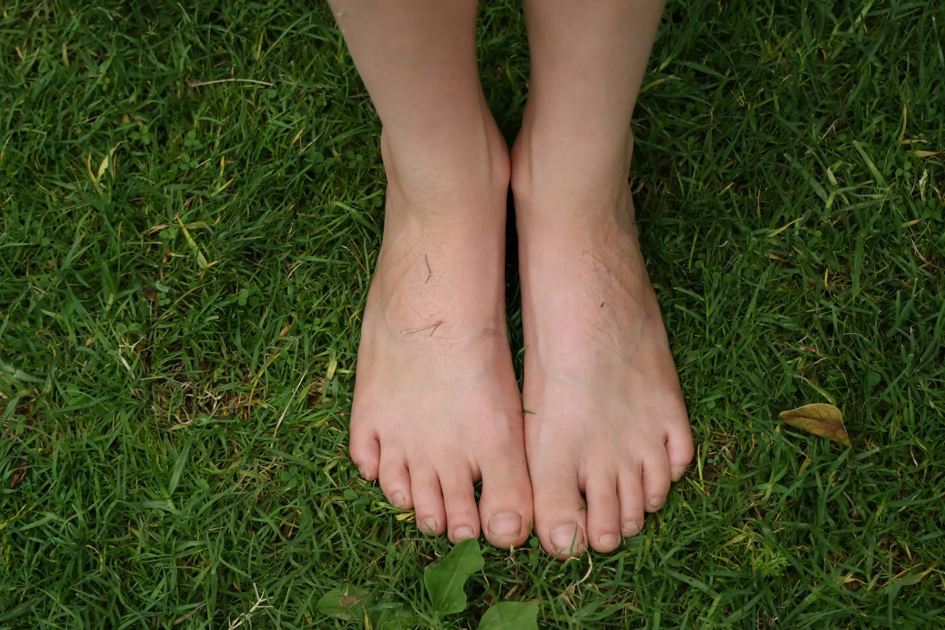 standing in grass