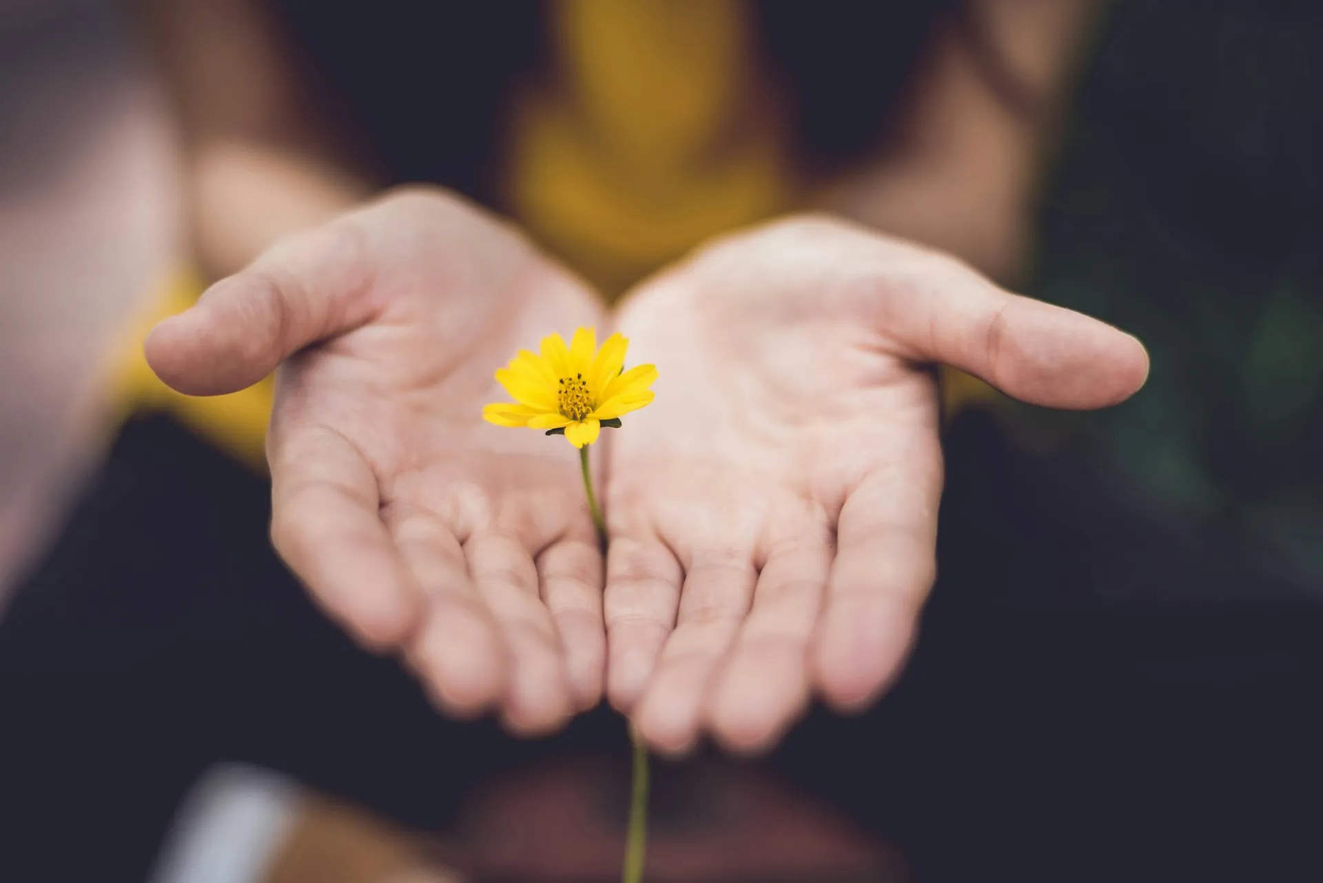 Healing hands with flower